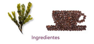 Ingredientes envoltura cafe