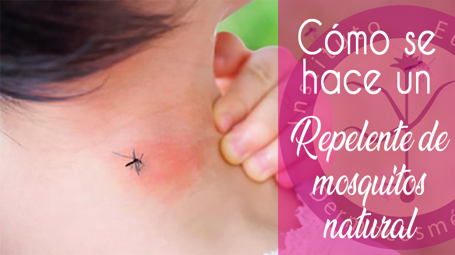 Cómo se un repelente mosquitos Instituto de Dermocosmética