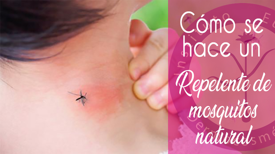 Cómo se hace un repelente de mosquitos